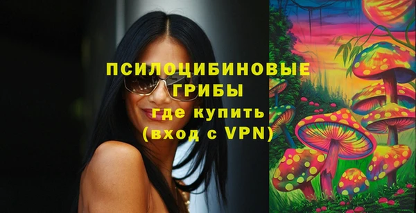 ГАЛЛЮЦИНОГЕННЫЕ ГРИБЫ Сясьстрой