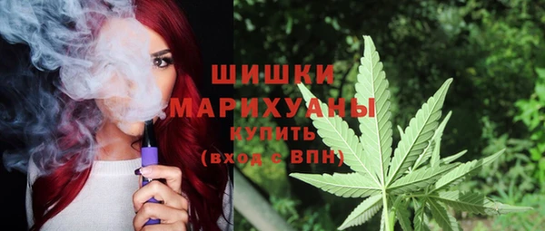 стафф Бородино