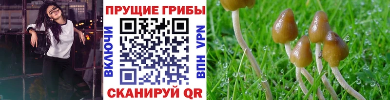 ОМГ ОМГ зеркало  Дорогобуж  Псилоцибиновые грибы мухоморы  хочу наркоту 